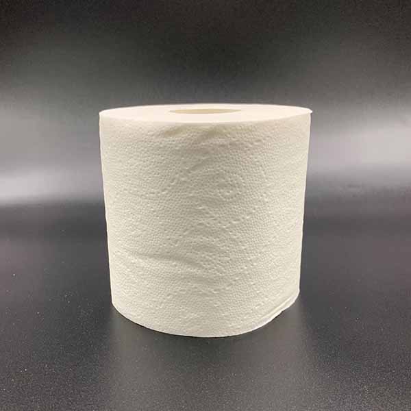 Double Ply Virgin tissue pack